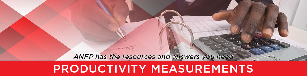 Productivity Measurements